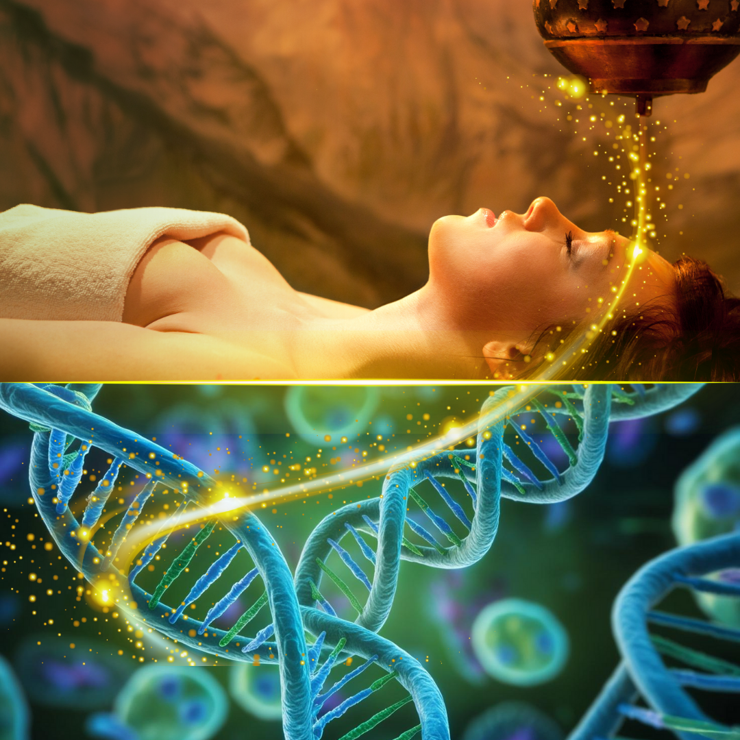 Cure Panchakarma en Inde